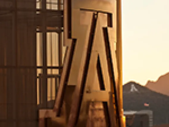 UA image