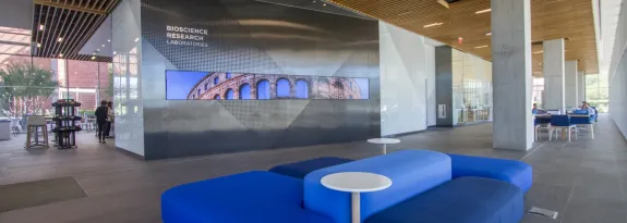 BSRL lobby