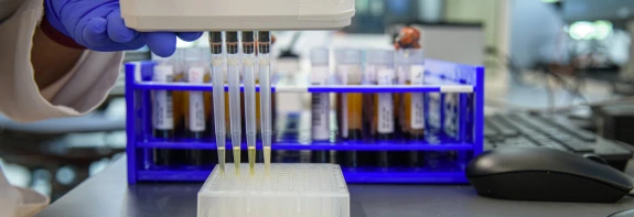 Pipette with serum loading into a plate