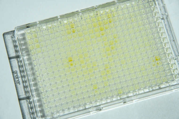 Quenched ELISA Plate